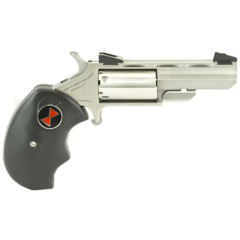 NAA BLK WIDOW MINI-RVLVR 22LR/M STS